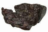 Polished Stony-Iron Mesosiderite Meteorite ( grams) - Chile #242894-1